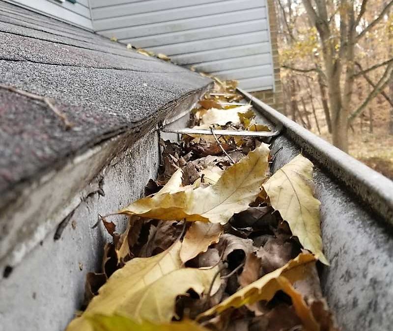 Gutter cleaning in Kansas City